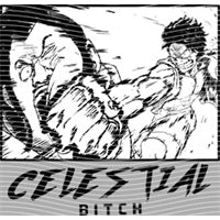 dragonballZ - STK-9450