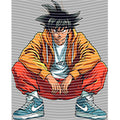 dragonballZ - STK-8660