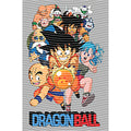 dragonballZ - STK-8461