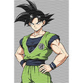 dragonballZ - STK-8501