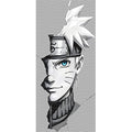 dragonballZ - STK-8546