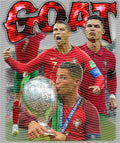 Coupe du Monde 2026 - STK-086